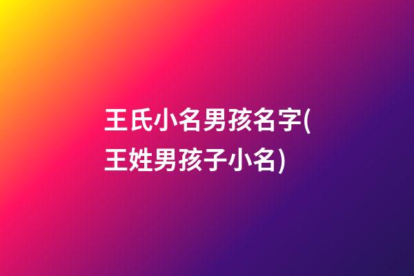 王氏小名男孩名字(王姓男孩子小名)