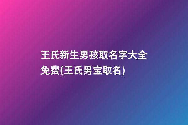 王氏新生男孩取名字大全免费(王氏男宝取名)