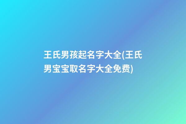 王氏男孩起名字大全(王氏男宝宝取名字大全免费)