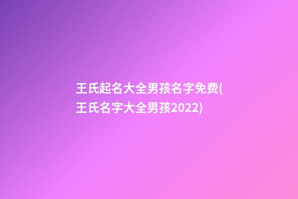王氏起名大全男孩名字免费(王氏名字大全男孩2022)
