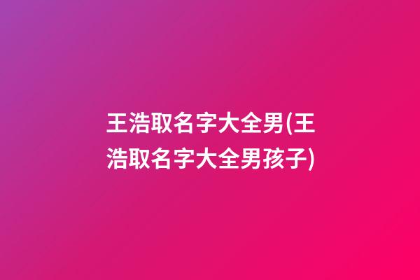 王浩取名字大全男(王浩取名字大全男孩子)