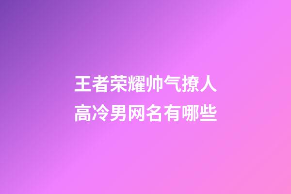 王者荣耀帅气撩人高冷男网名有哪些