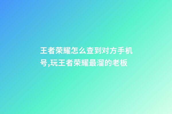 王者荣耀怎么查到对方手机号,玩王者荣耀最溜的老板-第1张-观点-玄机派