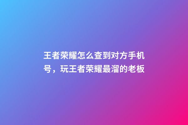 王者荣耀怎么查到对方手机号，玩王者荣耀最溜的老板-第1张-观点-玄机派