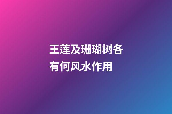 王莲及珊瑚树各有何风水作用?