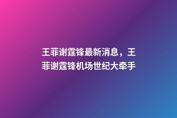 王菲谢霆锋最新消息，王菲谢霆锋机场世纪大牵手-第1张-观点-玄机派