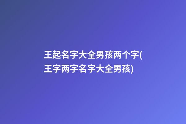 王起名字大全男孩两个字(王字两字名字大全男孩)