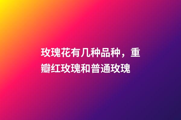 玫瑰花有几种品种，重瓣红玫瑰和普通玫瑰-第1张-观点-玄机派