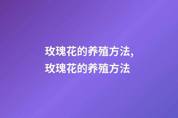 玫瑰花的养殖方法,玫瑰花的养殖方法-第1张-观点-玄机派