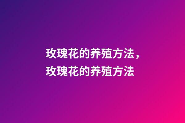 玫瑰花的养殖方法，玫瑰花的养殖方法-第1张-观点-玄机派