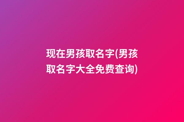 现在男孩取名字(男孩取名字大全免费查询)