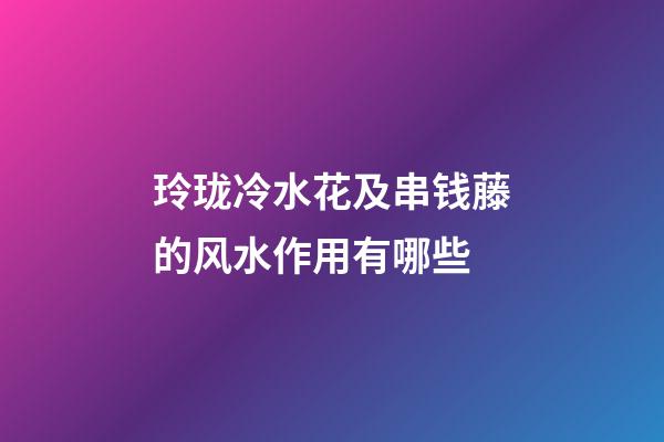 玲珑冷水花及串钱藤的风水作用有哪些?