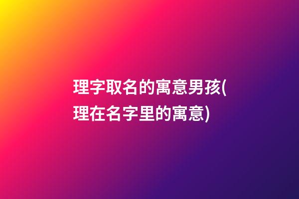 理字取名的寓意男孩(理在名字里的寓意)