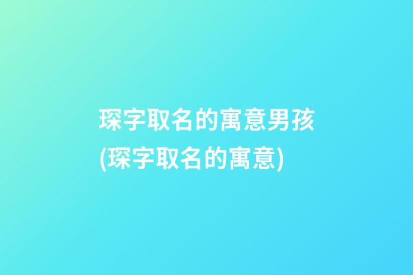 琛字取名的寓意男孩(琛字取名的寓意)