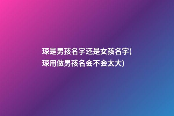 琛是男孩名字还是女孩名字(琛用做男孩名会不会太大)