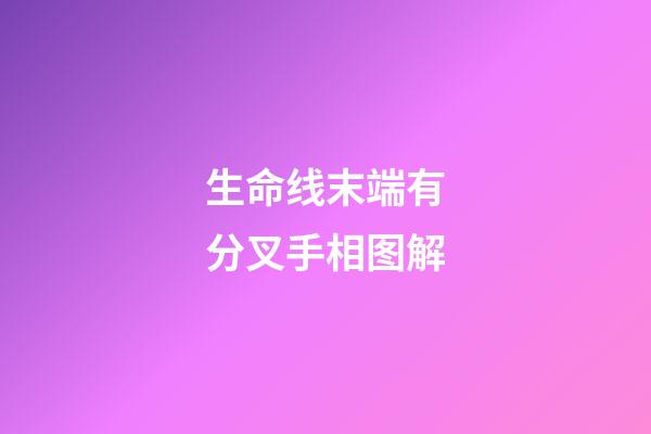 生命线末端有分叉手相图解