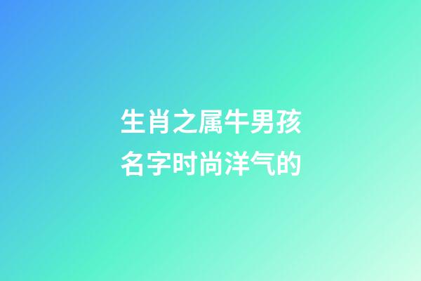 生肖之属牛男孩名字时尚洋气的