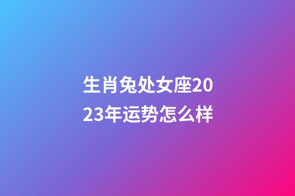 生肖兔处女座2023年运势怎么样-第1张-星座运势-玄机派