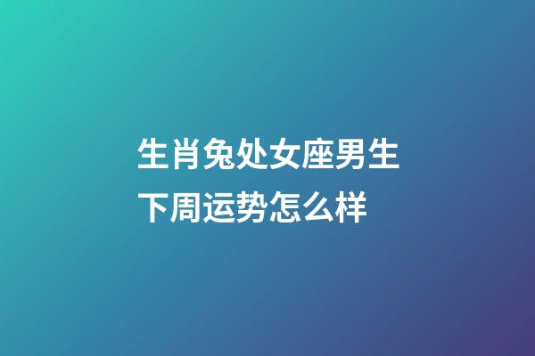 生肖兔处女座男生下周运势怎么样-第1张-星座运势-玄机派