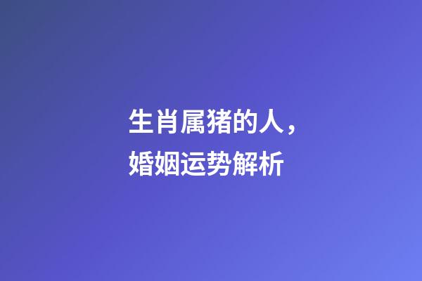 生肖属猪的人，婚姻运势解析
