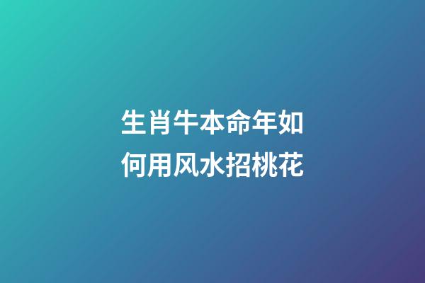 生肖牛本命年如何用风水招桃花