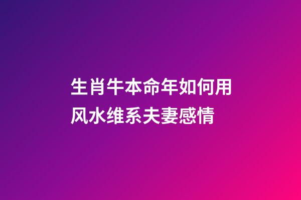 生肖牛本命年如何用风水维系夫妻感情