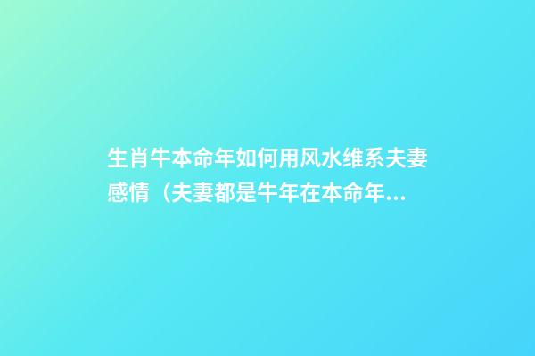生肖牛本命年如何用风水维系夫妻感情（夫妻都是牛年在本命年注意什么）