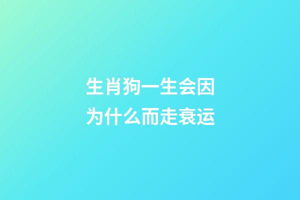 生肖狗一生会因为什么而走衰运