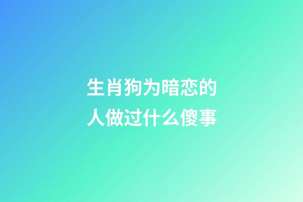生肖狗为暗恋的人做过什么傻事