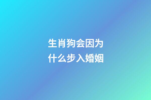 生肖狗会因为什么步入婚姻