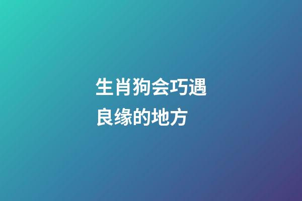 生肖狗会巧遇良缘的地方