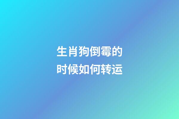 生肖狗倒霉的时候如何转运