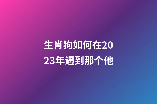 生肖狗如何在2023年遇到那个他