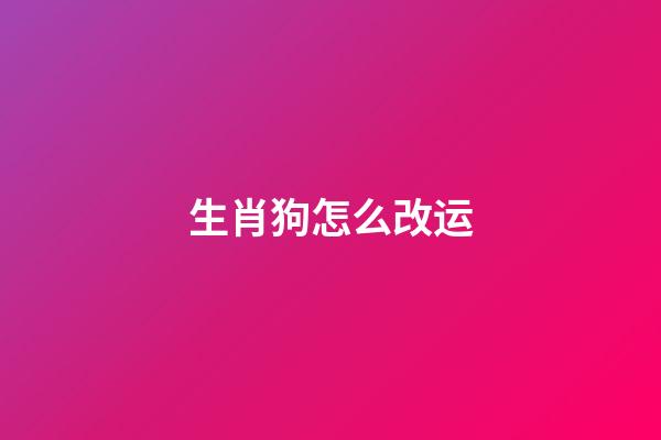 生肖狗怎么改运