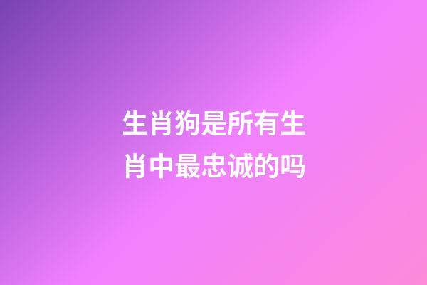 生肖狗是所有生肖中最忠诚的吗