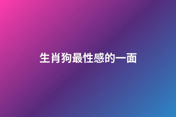 生肖狗最性感的一面
