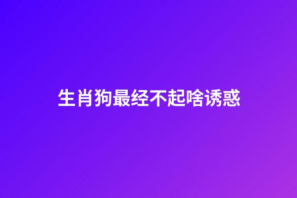 生肖狗最经不起啥诱惑