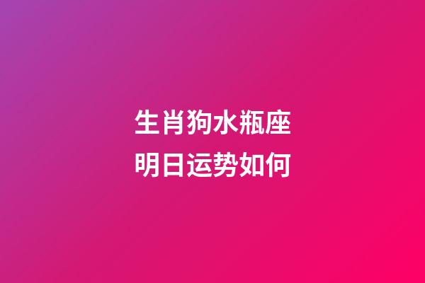 生肖狗水瓶座明日运势如何-第1张-星座运势-玄机派