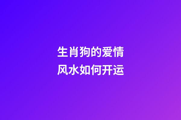生肖狗的爱情风水如何开运