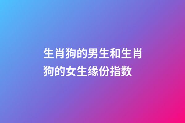 生肖狗的男生和生肖狗的女生缘份指数