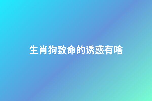 生肖狗致命的诱惑有啥