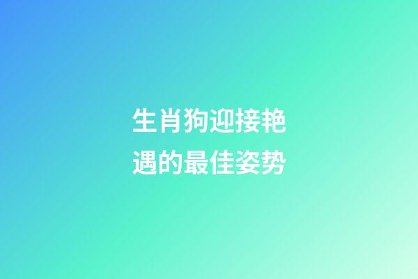 生肖狗迎接艳遇的最佳姿势