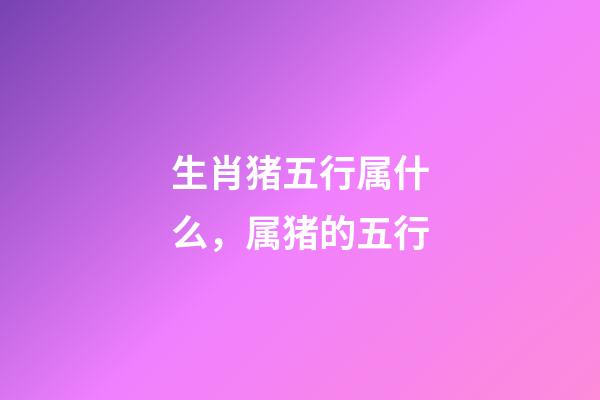 生肖猪五行属什么，属猪的五行