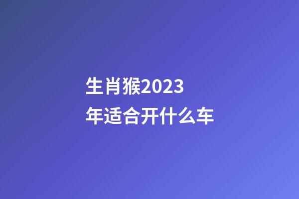 生肖猴2023年适合开什么车