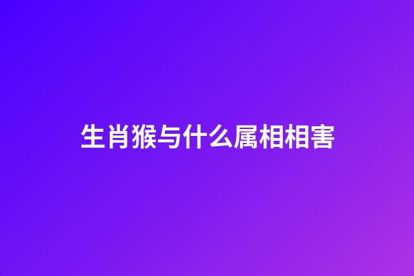 生肖猴与什么属相相害