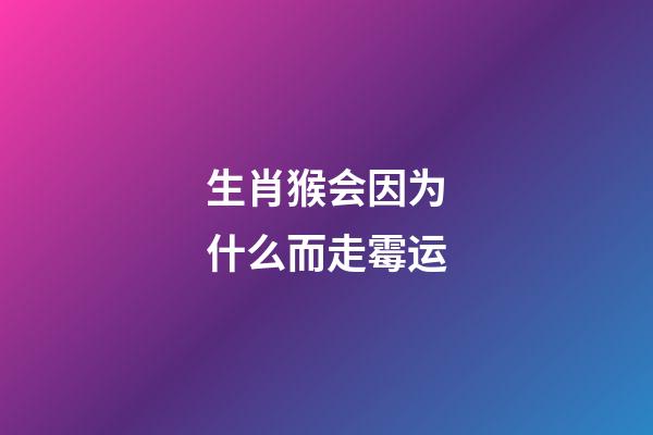 生肖猴会因为什么而走霉运