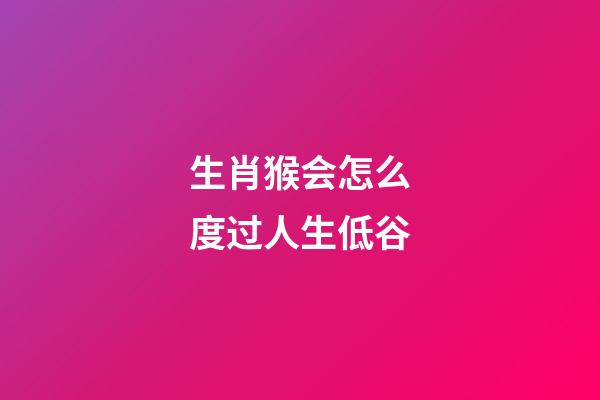 生肖猴会怎么度过人生低谷