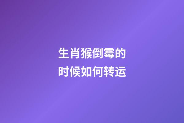 生肖猴倒霉的时候如何转运