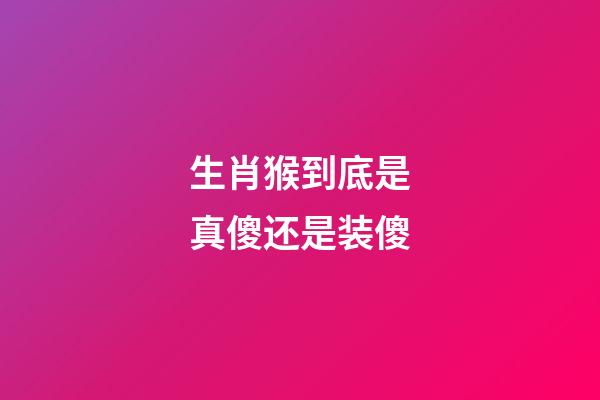 生肖猴到底是真傻还是装傻