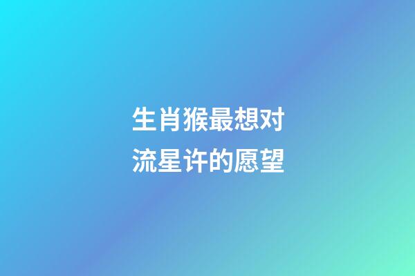 生肖猴最想对流星许的愿望